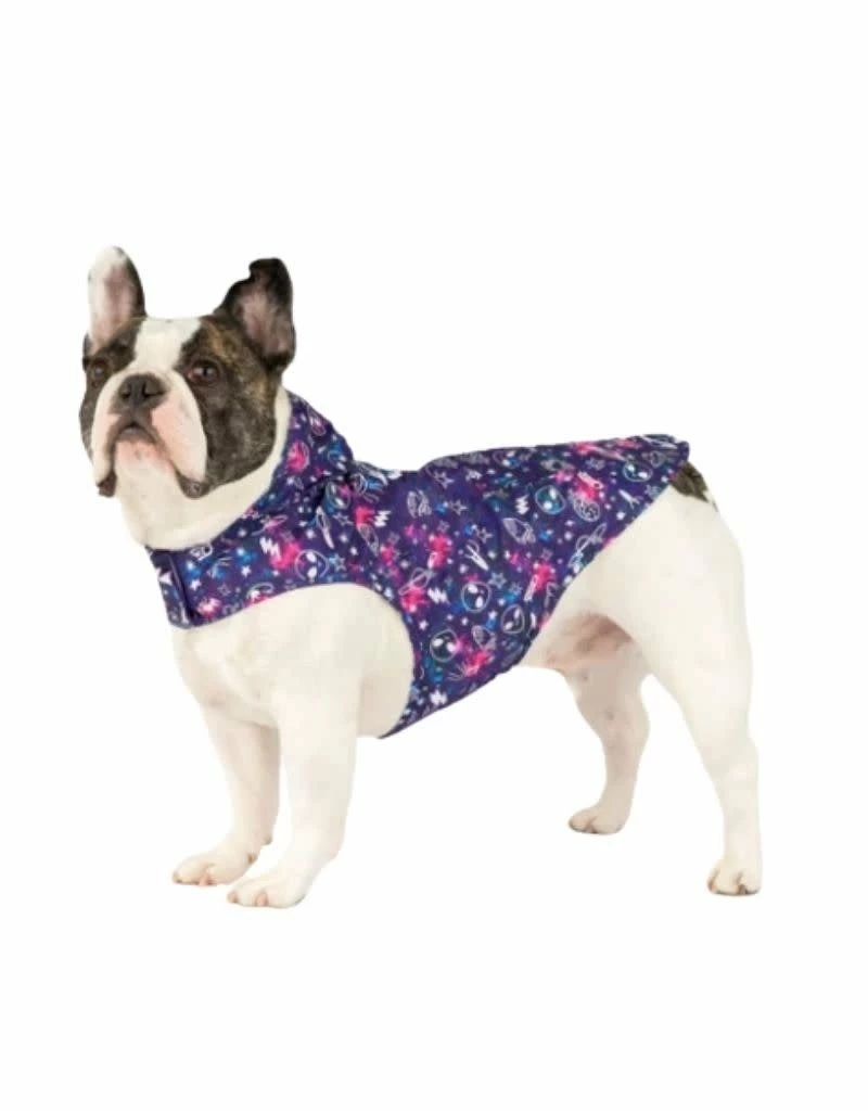 CANADA POOCH Pick Me Poncho Glow Special Edition - Image 3