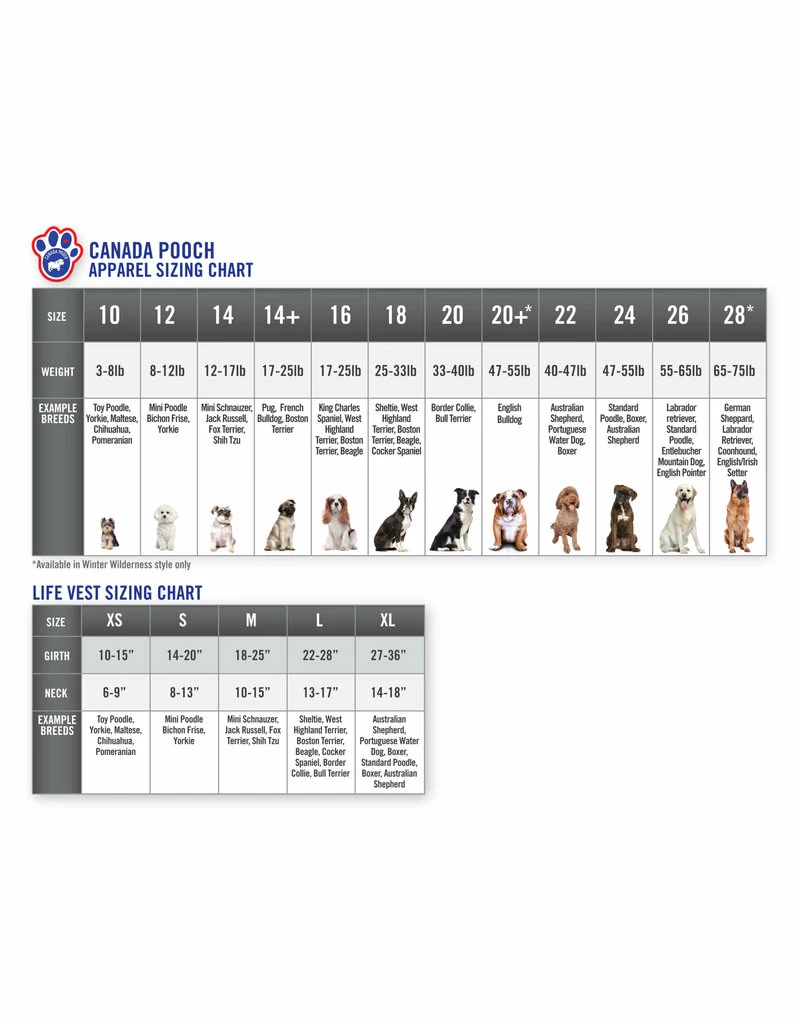 CANADA POOCH Pick Me Poncho Glow Special Edition - Image 4