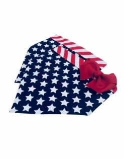 CHLOE & MAX Reversible Flag Bandana