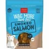 CLOUD STAR Salmon Jerky Dog Treat 10OZ