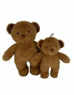 DOG STAR Bear Plush Dog Toy