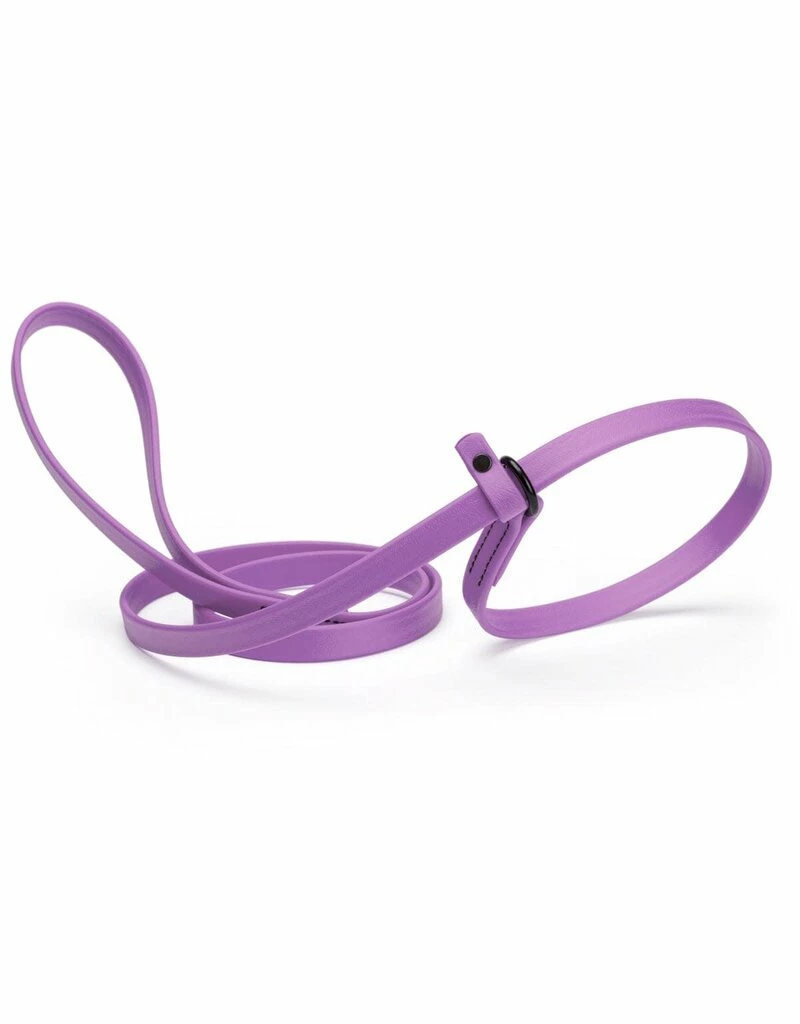 DOGLINE Biothane Slip Lead Purple 5ft