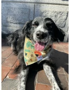 FISH & BONE Bandana Campground