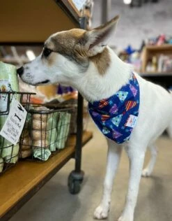 FISH & BONE Bandana Party Hats