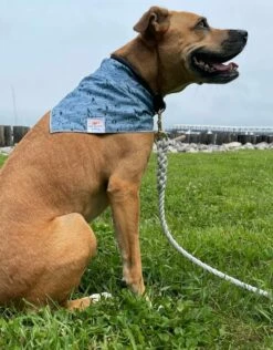 FISH & BONE Bandana Seagull Sketch