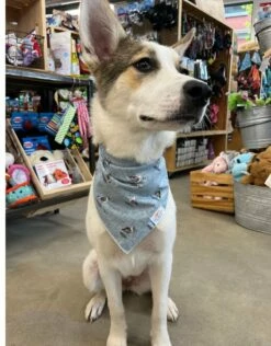 FISH & BONE Bandana Small Seagulls