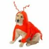 Lobster Costume