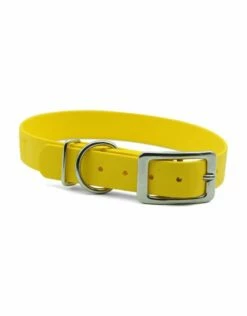 PACKT Ascent Buckle Collar Sunflower