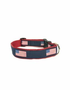 PRESTON Dog Collar American-Flag