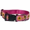PRESTON Dog Collar Pink Sunflowers