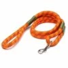 ROVERLUND Leader Of The Pack Leash Orange And Green