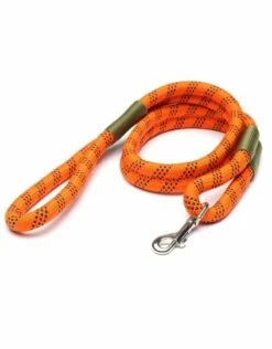 ROVERLUND Leader Of The Pack Leash Orange And Green
