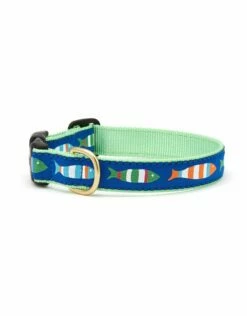 UP COUNTRY Funky Fish Collar