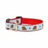 UP COUNTRY Hedgehog Collar
