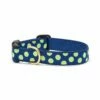 UP COUNTRY Navy Lime Dots Collar