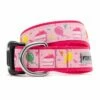 WORTHY DOG Dog Collar Pink Birthday