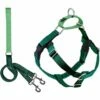 2 HOUNDS DESIGN Freedom No-Pull Harness & Leash 1 Inch Kelly