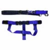 2 HOUNDS DESIGN Freedom No-Pull Harness & Leash 1 Inch Royal Blue