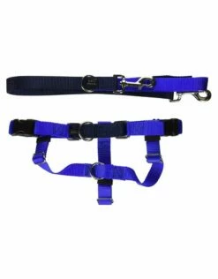 2 HOUNDS DESIGN Freedom No-Pull Harness & Leash 1 Inch Royal Blue