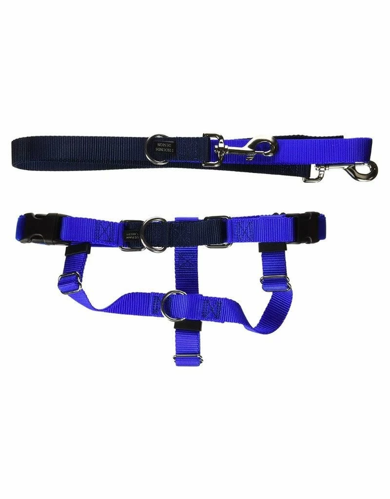 2 HOUNDS DESIGN Freedom No-Pull Harness & Leash 1 Inch Royal Blue