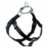 2 HOUNDS DESIGN Freedom No-Pull Harness And Leash Black And Silver