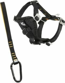 KURGO Tru-Fit Extra Strength Smart Harness With Seatbelt Tether