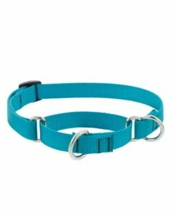 LUPINE Martingale Dog Collar Aqua