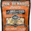 NORTHWEST NATURALS Freezedried Salmon Treat 2.5 Oz