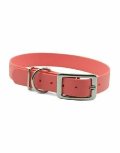 PACKT Ascent Buckle Collar Coral