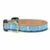 UP COUNTRY Dog Collar Gull Watch