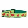 UP COUNTRY Dog Collar One In A Melon