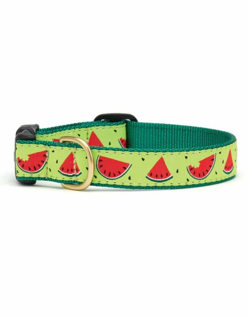 UP COUNTRY Dog Collar One In A Melon