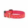UP COUNTRY Pink Orange Dots Collar