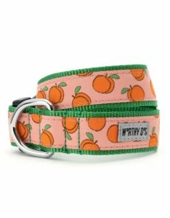 WORTHY DOG Dog Collar Peachy Keen